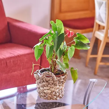 Appartement Midtown Saalbach-Hinterglemm